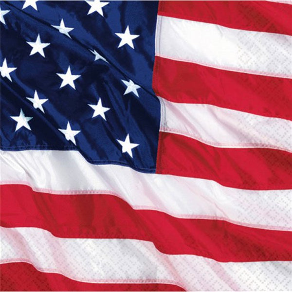 USA Flag Napkins
