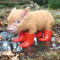 Piglet In Boots